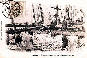 Alger - Debarquement de Gargoulettes